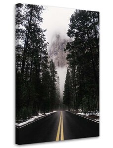 Gario Obraz na plátně Cesta v mlžném lese - Nikita Abakumov Rozměry: 40 x 60 cm