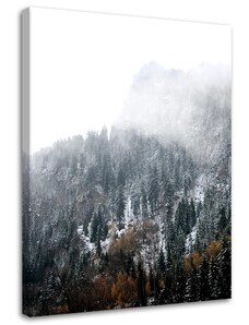 Gario Obraz na plátně Zasněžené hory - Dmitry Belov Rozměry: 40 x 60 cm