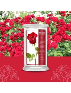 Kringle Candle svíčka BOTANICAL Rose (sójový vosk), 623 g