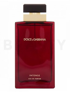 Dolce & Gabbana Pour Femme Intense parfémovaná voda pro ženy 100 ml