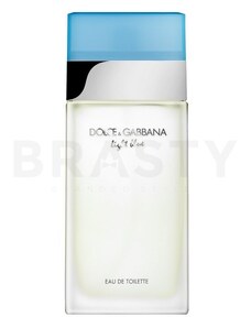 Dolce & Gabbana Light Blue toaletní voda pro ženy 100 ml