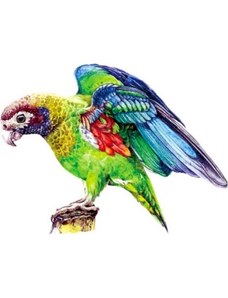 IZMAEL Dřevěné puzzle Macaw/S