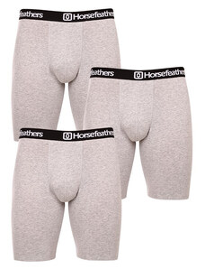 3PACK pánské boxerky Horsefeathers Dynasty long (AM195C)