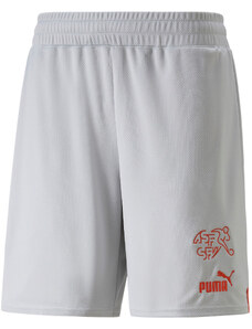 Šortky Puma SFV Shorts Replica 2022/23 76593803