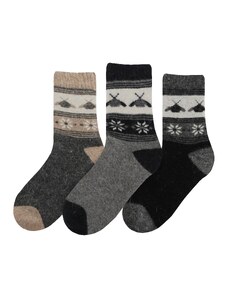 Dámské ponožky termo Zima v Norsku B