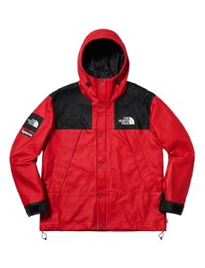 Supreme/The North Face Leather Mountain Parka