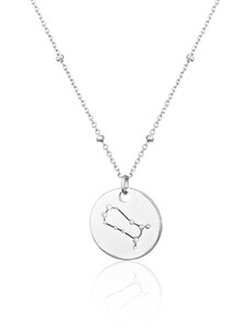 JVD Dámský stříbrný náhrdelník znamení KOZOROH SVLN0327XH2BIKO