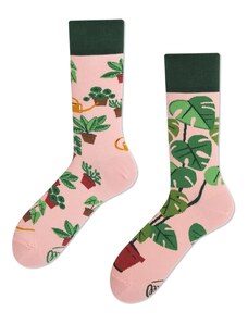 Many Mornings Ponožky klasik Plant lover 43-46