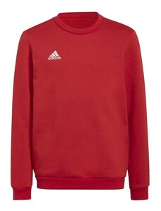 Entrada 22 Sweat Jr dětská mikina H57473 - Adidas