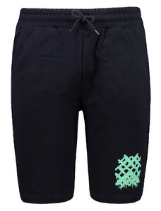 Trendyol Navy Blue Men's Regular Shorts & Bermuda