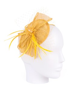 Art Of Polo Woman's Fascinator cz19587