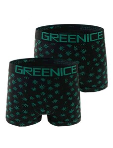 Bezešvé boxerky Greenice Art: 4737 ( 2 ks v balení )