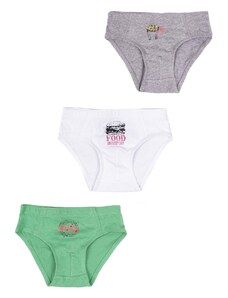 Yoclub Kids's Cotton Boys' Briefs Underwear 3-pack BMC-0030C-AA30-002