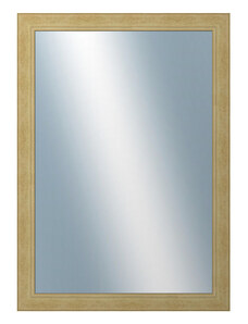 DANTIK - Zarámované zrcadlo - rozměr s rámem cca 50x70 cm z lišty ANDRÉ velká starostříbrná (3156)