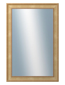 DANTIK - Zarámované zrcadlo - rozměr s rámem cca 40x60 cm z lišty TOOTH malá zlatá (3161)