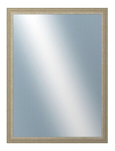 DANTIK - Zarámované zrcadlo - rozměr s rámem cca 60x80 cm z lišty LYON stříbrná (2704)