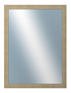 DANTIK - Zarámované zrcadlo - rozměr s rámem cca 60x80 cm z lišty ANDRÉ velká champagne (3158)