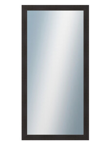 DANTIK - Zarámované zrcadlo - rozměr s rámem cca 50x100 cm z lišty 4020 hnědá (2767)