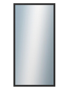 DANTIK - Zarámované zrcadlo - rozměr s rámem cca 50x100 cm z lišty Hliník černá | P05-021 (7005021)
