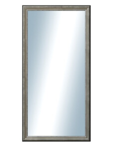 DANTIK - Zarámované zrcadlo - rozměr s rámem cca 50x100 cm z lišty Anversa stříbrná (3152)
