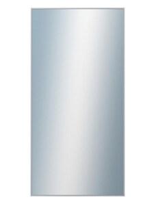 DANTIK - Zarámované zrcadlo - rozměr s rámem cca 50x100 cm z lišty Hliník stříbrná | P01-004 (7001004)