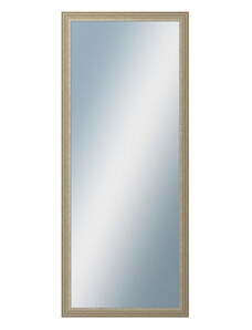 DANTIK - Zarámované zrcadlo - rozměr s rámem cca 50x120 cm z lišty LYON stříbrná (2704)