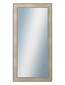 DANTIK - Zarámované zrcadlo - rozměr s rámem cca 60x120 cm z lišty TOOTH stříbrná (2779)