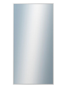 DANTIK - Zarámované zrcadlo - rozměr s rámem cca 60x120 cm z lišty Hliník stříbrná | P269-004 (7269004)