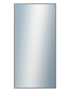 DANTIK - Zarámované zrcadlo - rozměr s rámem cca 60x120 cm z lišty Hliník platina | P269-019 (7269019)