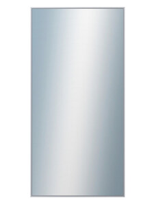 DANTIK - Zarámované zrcadlo - rozměr s rámem cca 60x120 cm z lišty Hliník stříbrná | P02-004 (7002004)