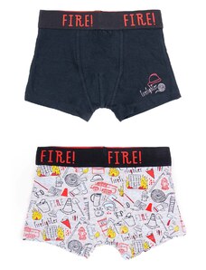 Yoclub Kids's Cotton Boys' Boxer Briefs Underwear 2-pack BMB-0009C-AA30-001