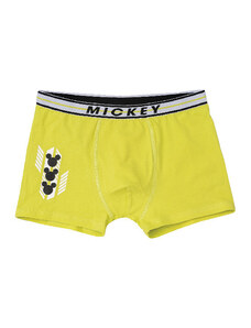 Chlapecké boxerky E plus M Mickey zelené