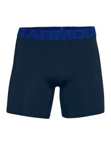 Pánské Boxerky Under Armour Tech Mesh 6" 2 Pack modré Dynamic, LG