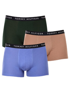 3PACK pánské boxerky Tommy Hilfiger vícebarevné (UM0UM02203 0V1)