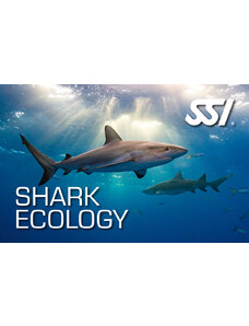 SSI Shark Ecology - Biologie oceánů - žraloci