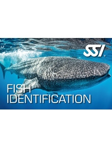 SSI Fish Identification - Biologie oceánů - mořské ryby