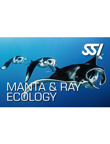 SSI Manta & Ray Ecology - Biologie oceánů - Manty a rejnoci