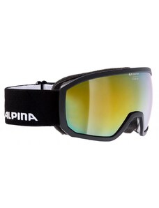 Lyžařské brýle Alpina Scarabeo JR MM