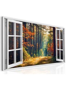 Malvis 3D obraz okno les plný barev