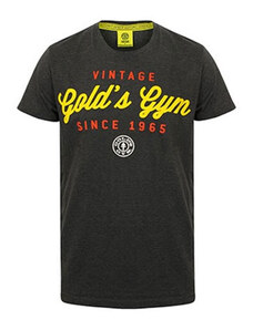 Gold's Gym Pánské tričko Vintage