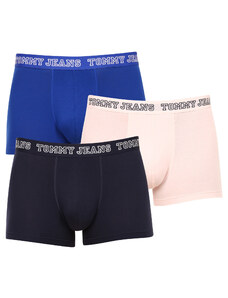 3PACK pánské boxerky Tommy Hilfiger vícebarevné (UM0UM02850 0T8)