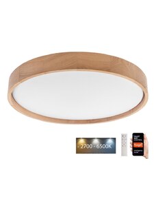 Brilagi Brilagi - LED Stropní svítidlo MANAROLA SMART LED/36W/230V + DO Tuya BG0485