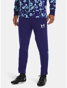 Pánské tepláky Under Armour