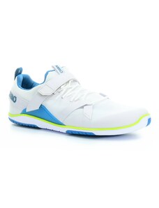 sportovní tenisky Xero shoes Forza Trainer White/blue sapphire M