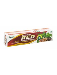 DAY SPA Zubní pasta RED ájurvédská, 100 g