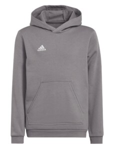 Dětská bavlněná mikina adidas Entrada 22