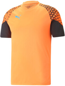 Dres Puma individualCUP Training Jersey 658289-50