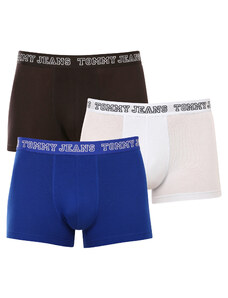 3PACK pánské boxerky Tommy Hilfiger vícebarevné (UM0UM02850 0TV)