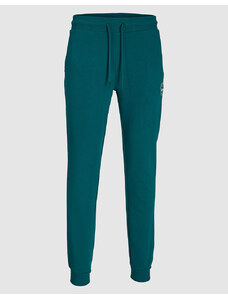 JACK&JONES JJIGORDON JJSHARK SWEAT PANTS AT NOOS