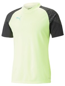 Dres Puma individualCUP Training Jersey 658289-51